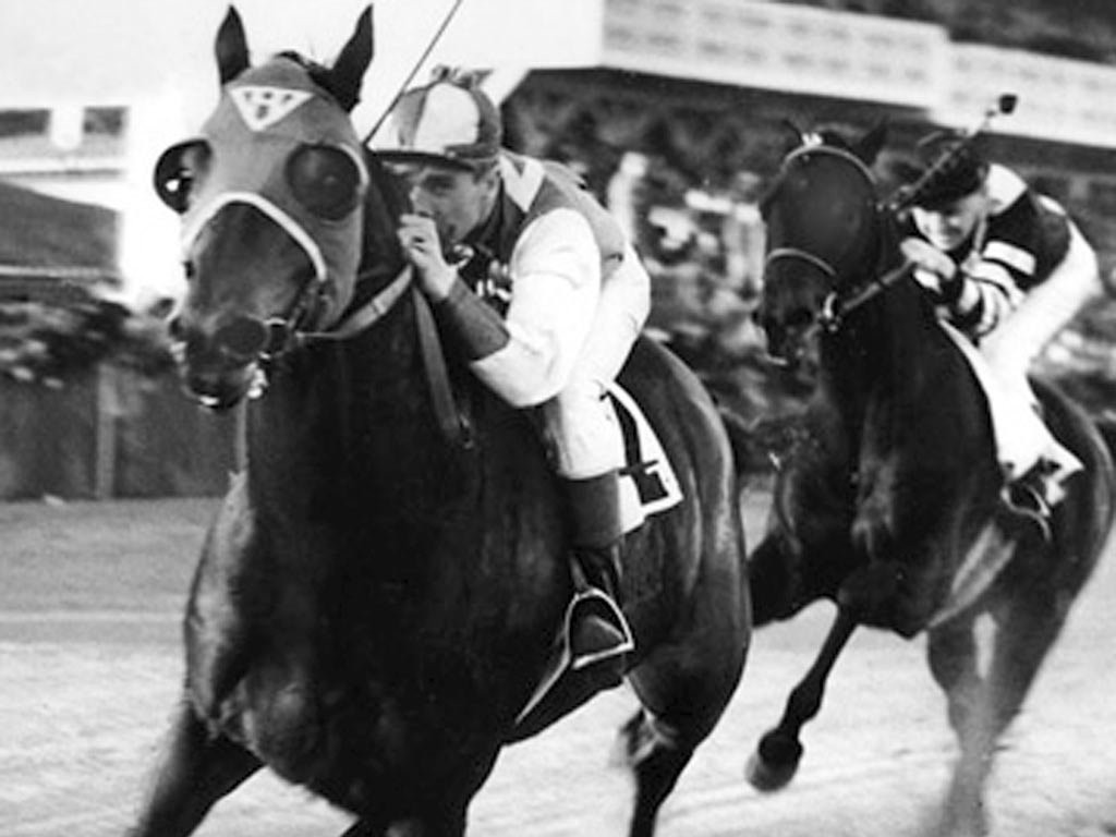 Seabiscuit vs. War Admiral - 1938 Match Race